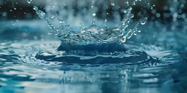 Baignabilité de la Marne : faire de la qualité de l'eau un levier d'attractivité territoriale !